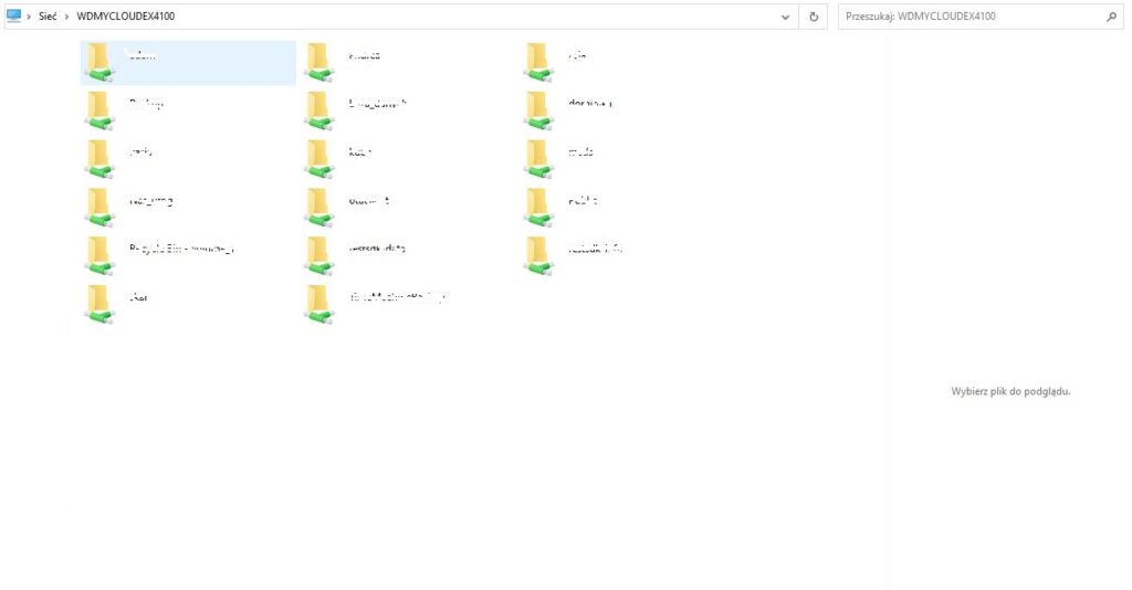 Odzyskana struktura danych z macierzy RAID 5 WD My Cloud EX4100